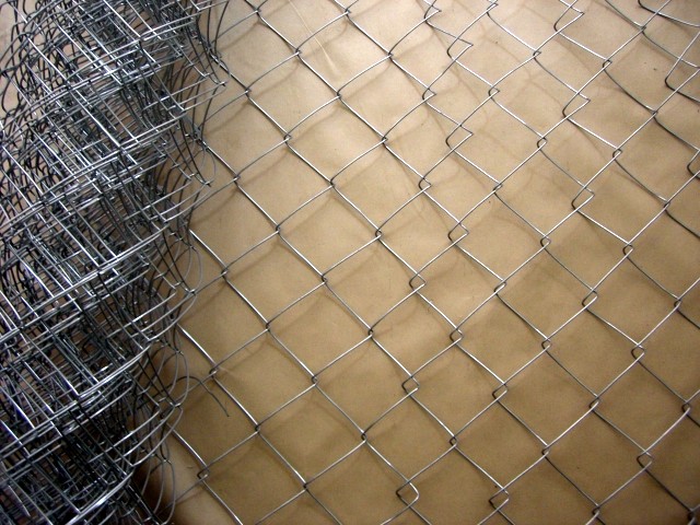 䓽zo(h)W(wng)